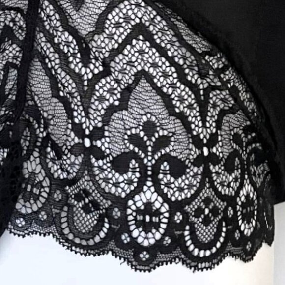 NEW  HIGH WAIST TUMMY CONTROL TRAINER SHAPEWEAR  LACE PANTY (runs smaller - Picture 8 of 11